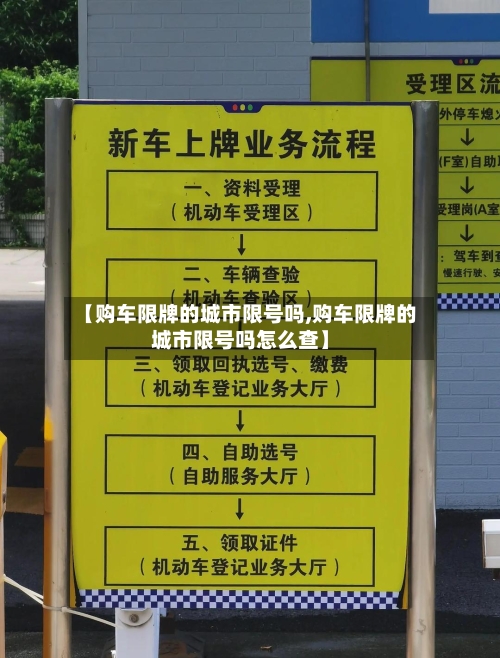 【购车限牌的城市限号吗,购车限牌的城市限号吗怎么查】-第3张图片