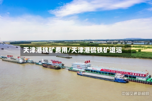 天津港铁矿费用/天津港硫铁矿退运-第2张图片