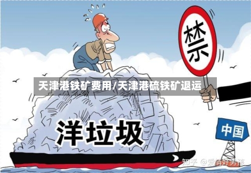 天津港铁矿费用/天津港硫铁矿退运