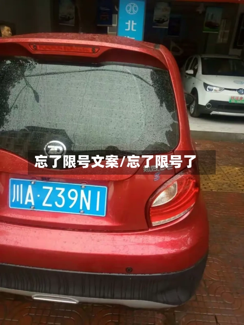忘了限号文案/忘了限号了-第3张图片