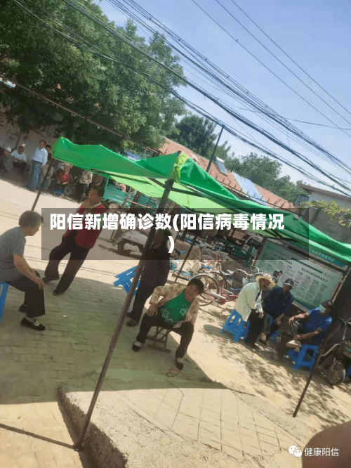 阳信新增确诊数(阳信病毒情况)