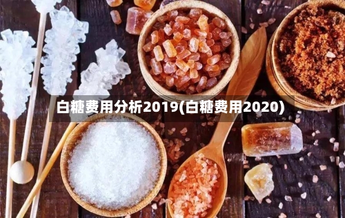 白糖费用分析2019(白糖费用2020)
