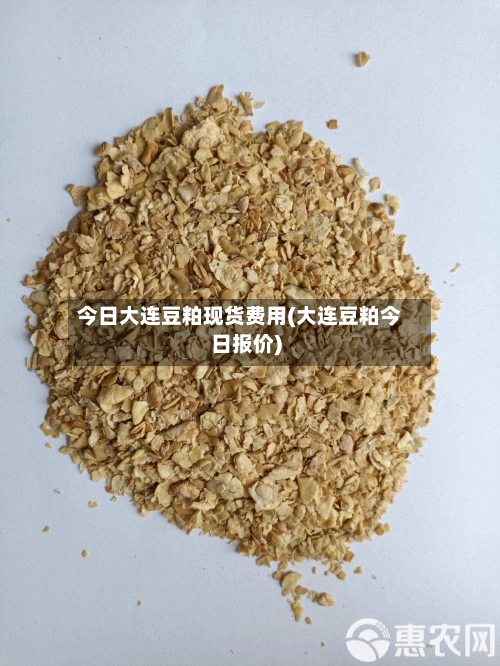 今日大连豆粕现货费用(大连豆粕今日报价)-第2张图片