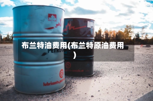 布兰特油费用(布兰特原油费用)