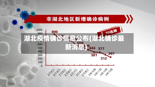 湖北疫情确诊信息公布(湖北确诊最新消息)-第2张图片