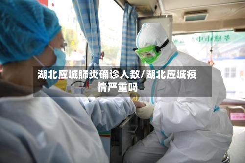 湖北应城肺炎确诊人数/湖北应城疫情严重吗-第2张图片