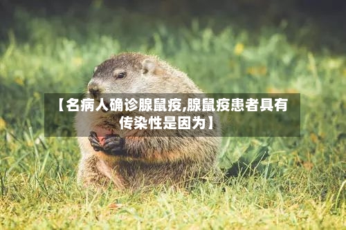 【名病人确诊腺鼠疫,腺鼠疫患者具有传染性是因为】-第3张图片