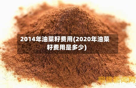 2014年油菜籽费用(2020年油菜籽费用是多少)