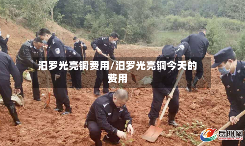 汨罗光亮铜费用/汨罗光亮铜今天的费用-第2张图片