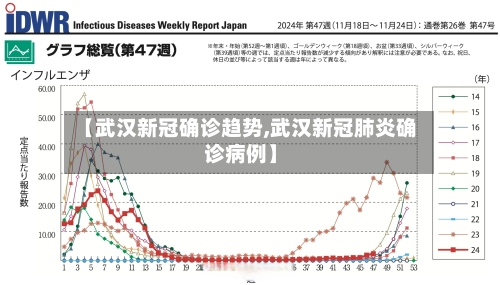 【武汉新冠确诊趋势,武汉新冠肺炎确诊病例】