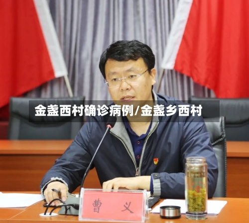 金盏西村确诊病例/金盏乡西村