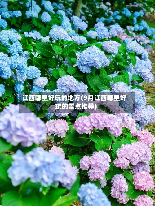 江西哪里好玩的地方(9月江西哪里好玩的景点推荐)-第2张图片