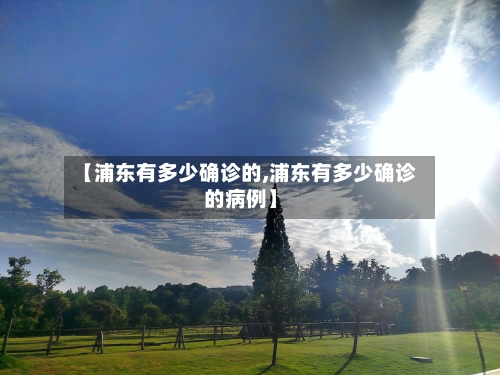 【浦东有多少确诊的,浦东有多少确诊的病例】-第2张图片
