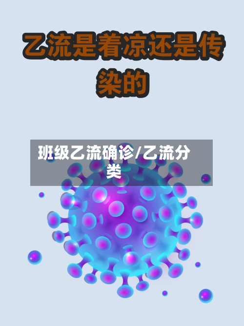 班级乙流确诊/乙流分类-第2张图片