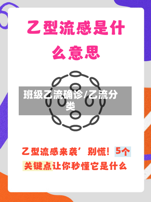 班级乙流确诊/乙流分类