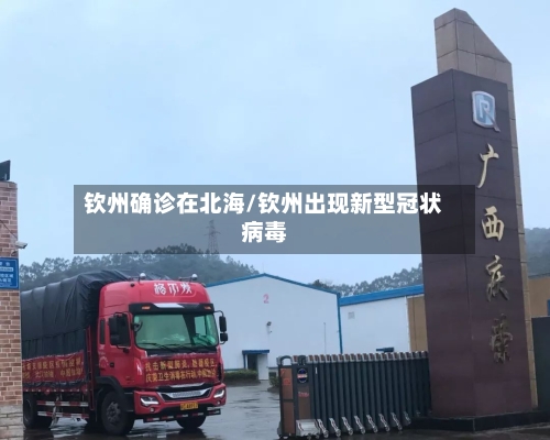 钦州确诊在北海/钦州出现新型冠状病毒-第2张图片