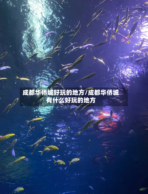 成都华侨城好玩的地方/成都华侨城有什么好玩的地方