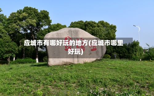 应城市有哪好玩的地方(应城市哪里好玩)-第2张图片