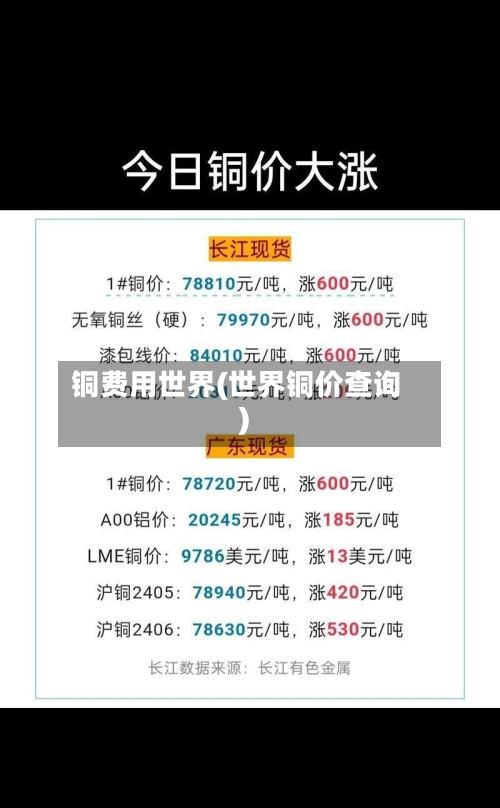 铜费用世界(世界铜价查询)