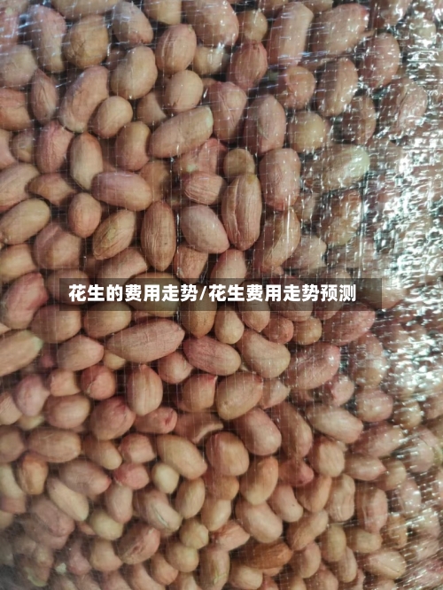 花生的费用走势/花生费用走势预测