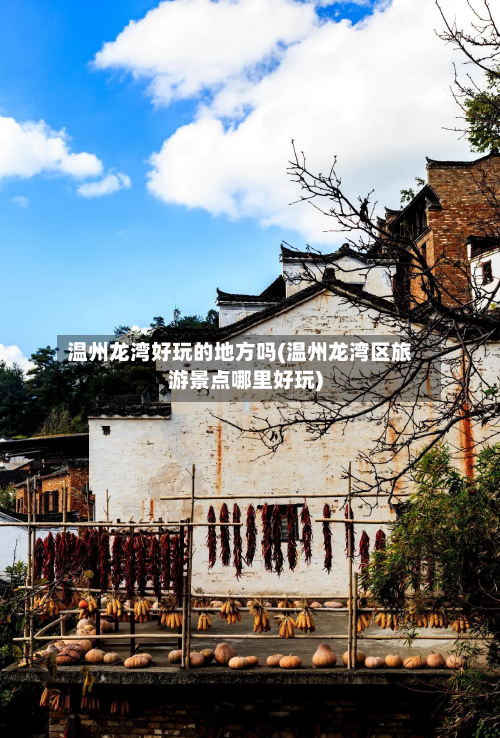 温州龙湾好玩的地方吗(温州龙湾区旅游景点哪里好玩)