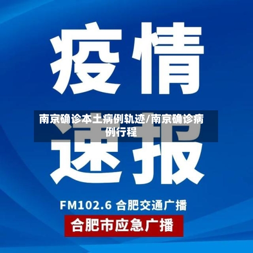 南京确诊本土病例轨迹/南京确诊病例行程-第2张图片