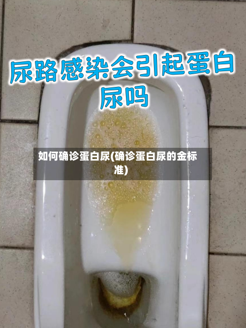 如何确诊蛋白尿(确诊蛋白尿的金标准)