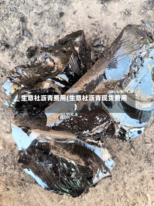 生意社沥青费用(生意社沥青现货费用)-第2张图片
