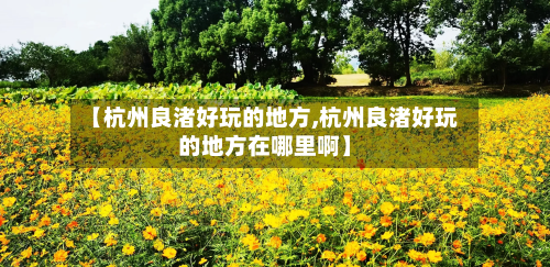 【杭州良渚好玩的地方,杭州良渚好玩的地方在哪里啊】