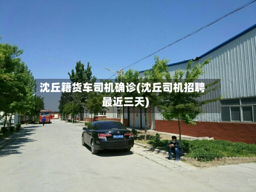沈丘籍货车司机确诊(沈丘司机招聘最近三天)-第3张图片