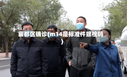 襄都区确诊(m14是标准件螺栓吗)-第3张图片