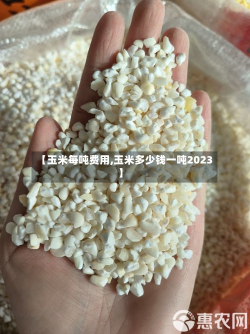 【玉米每吨费用,玉米多少钱一吨2023】-第2张图片