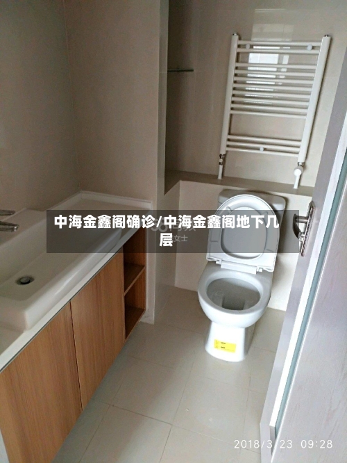 中海金鑫阁确诊/中海金鑫阁地下几层-第2张图片