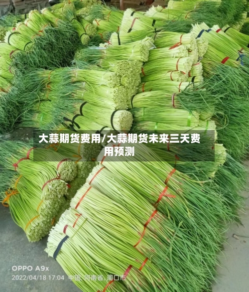 大蒜期货费用/大蒜期货未来三天费用预测