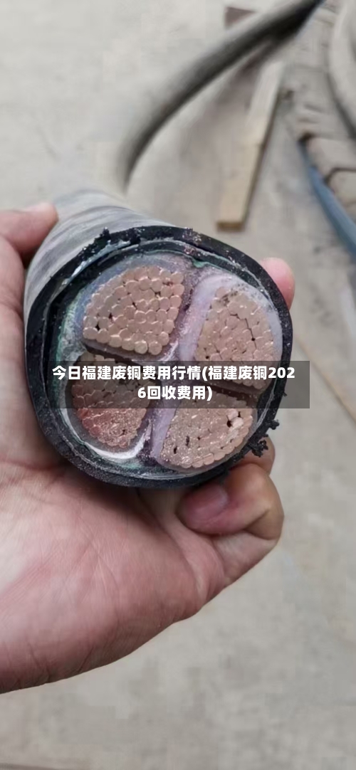 今日福建废铜费用行情(福建废铜2026回收费用)