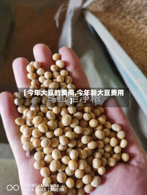【今年大豆的费用,今年新大豆费用】-第3张图片