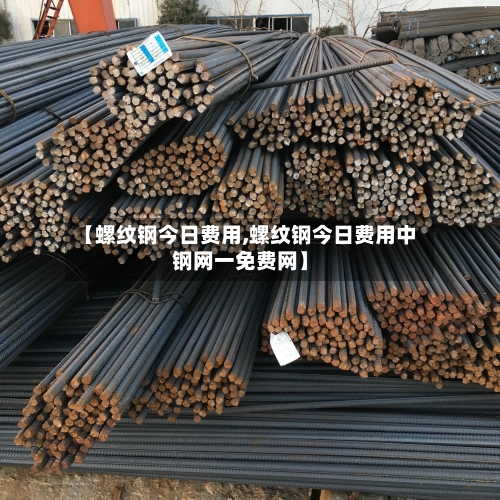【螺纹钢今日费用,螺纹钢今日费用中钢网一免费网】-第2张图片