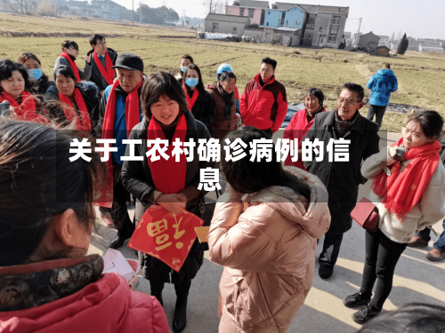关于工农村确诊病例的信息-第2张图片