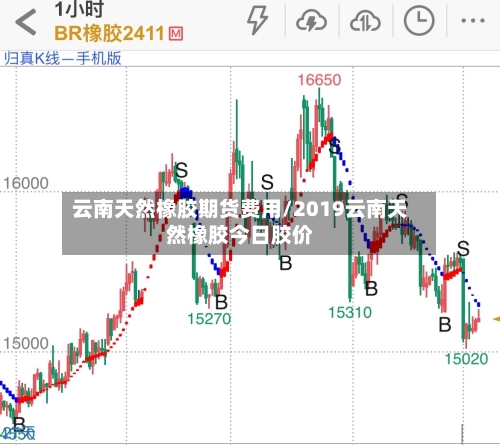 云南天然橡胶期货费用/2019云南天然橡胶今日胶价-第2张图片