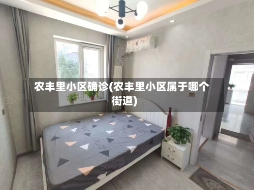 农丰里小区确诊(农丰里小区属于哪个街道)-第2张图片