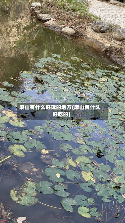 麻山有什么好玩的地方(麻山有什么好吃的)-第2张图片