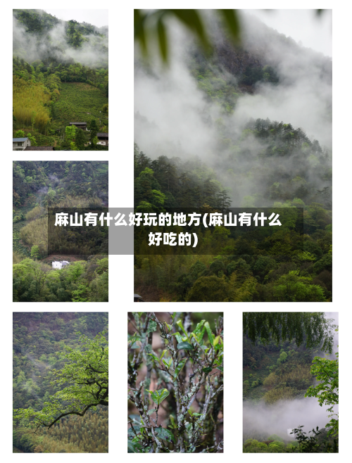 麻山有什么好玩的地方(麻山有什么好吃的)