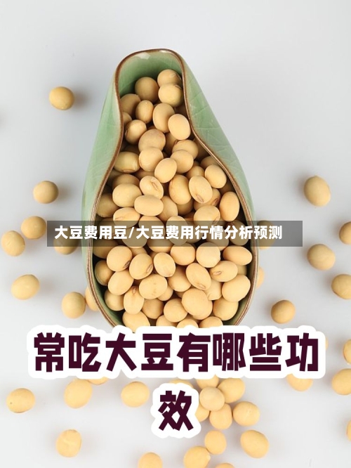 大豆费用豆/大豆费用行情分析预测-第3张图片