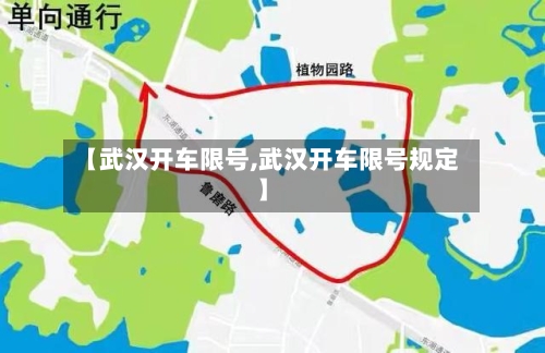 【武汉开车限号,武汉开车限号规定】-第3张图片