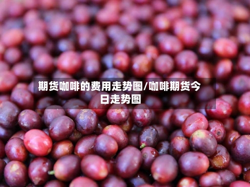 期货咖啡的费用走势图/咖啡期货今日走势图-第2张图片