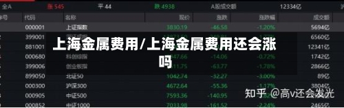 上海金属费用/上海金属费用还会涨吗-第2张图片