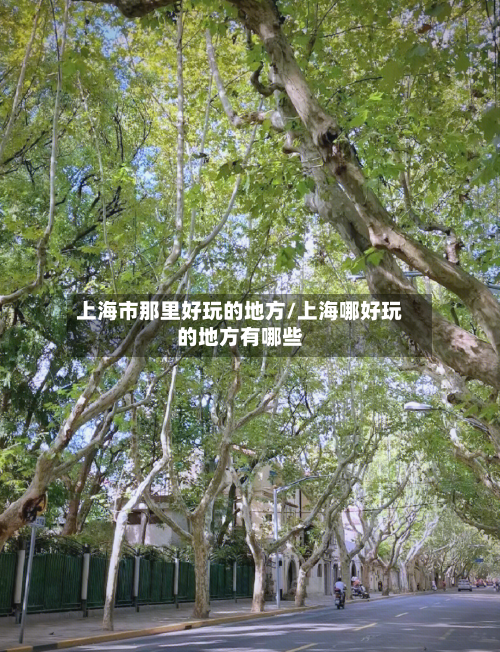 上海市那里好玩的地方/上海哪好玩的地方有哪些-第2张图片
