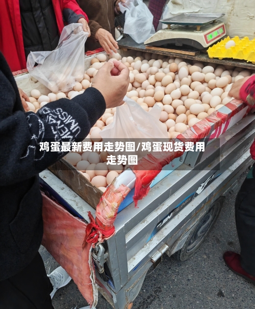 鸡蛋最新费用走势图/鸡蛋现货费用走势图