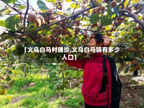 【义乌白马村确诊,义乌白马镇有多少人口】