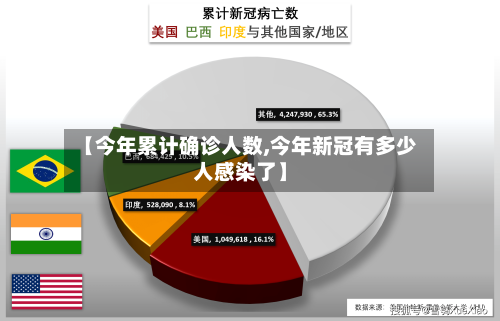 【今年累计确诊人数,今年新冠有多少人感染了】-第3张图片